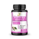 Pueraria Mirifica Supplement 500 mg Root Extract pulver importert fra Thailand - fremmer kvinners helse, organisk naturlig urte, 60 Veggie Capsules
