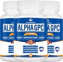 15-i-1 Alpha GPC Supplement med fosfatidylserin, uridin, L-theanin, Lion's Mane Mushroom, 180 Kapsler