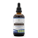 Hemmeligheter av Tribe Goldenseal og Echinacea alkoholfri væskeekstrakt, urter (Echinacea Root (Echinacea Purpurea), Goldenseal Root (Hydristis Canadensis)) Tinkture Supplement (4 FL OZ)