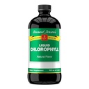 Bernard Jensens 100% ren naturlig klorofyll flavor flytende kosttilskudd | Fremmer Alkaline Ph | Hjelper til å rense blod | 16 Fluid Ounce (474 ml)