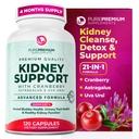 PurePremium Njurestøtte Supplement - Nyre rengjøring Detox & Reparasjon med Cranberry Extract & Astragalus - 21-i-1 Complex Støtter Normal Blader, Urin Tract & Nurrenals Helse - 120 dagers forsyning