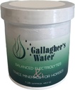 Gallaghers vannbalansert elektrolytter og spormineraler for hester, 1LB