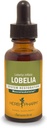 Herb Pharm Certified Organic Lobelia flytende ekstrakt for stomatoid System Support - 1 Ounce (DLOBEL01)