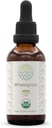 HerbEra Wheatgrass B60 USDA Økologisk Tinktur | Alkohol-fri ekstrakt, høy potens Herbal Drops, Flytende Supplement | Certified Organic Wheatgrass (Triticum aestivum) Tørket Leaf (2 oz)