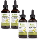 Maxx Herb Olive Leaf Extract - Maks styrke Oleuropein flytende absorber bedre enn kapsler eller te, for immunstøtte, hjerte helse og sesongmessig velvære - 4 flasker, 4 Oz Hver (240 Services)