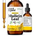 Wild & Organic Mullein Drops for Lungs - Lung Detox og Cleanse - flytende Mullein Leaf Tinktur med Echinacea & Licorise Root - Vegansk, Sukker & alkohol-fri ekstrakt supplement - 2 fl oz