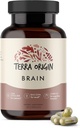 Terra Opprinnelse, Sunn Brain Supplement, Kapsler, 30 Serveringer, med CDP Choline, Ginkgo Biloba Extract, og Bacopa - for sunn sinn, forbedrer hukommelse, minne og funksjon