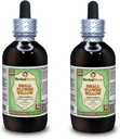 Lille Blomst Willow (Epilobium parviflorum) Glyceritt, tørket Herb alkoholfri flytende ekstrakt (Brandnavn: HerbalTerra, stolt laget i USA) 2x4 fl.oz (2x120 ml)
