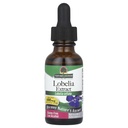 Natur?s Svar Lobelia Herb Lobelia Inflata - Naturlig Herbal Supplement - Gluten alkohol-fri - Ideell for immunitet generell helse velvære ? 690mcg (1 FL Oz)