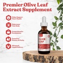 Rejuvica Active Olive Leaf Extract | naturlig forekommende Oleuropein flytende dråper for immun- og hjerte støtte | Fastabsorpsjon, Vegan, alkoholfri | 6 fl oz