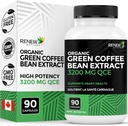 Forny Actives Høy potens Grønn Kaffebønne Ekstrakt - 800 mg per servering Grønn Kaffebønne Ekstrakt med 50% Klorogen syre for antioksidant fordeler - laget i Canada - 90 Vegan Kapsler