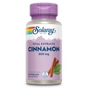 SOLARAY Cinnamon Extract 300mg - Cinnamon Supplements for Balance - Herbal støtte med 24mg Flavonoids - Lab Verifisert, Glutenfri, 60-dagers garanti - 60 Serveringer, 60 VegCaps