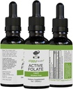 Active Folate ren flytende ekstrakt Supplement - L-metylfolat for bedre absorpsjon, hjernehelse, forbedre cellulære funksjon, støtte immunsystem, vannløselig B kompleks, 1oz - ved Ziggy Health