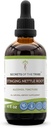 Hemmeligheter i Tribe Stinging Nettle Root alkohol ekstrakt, høy potens Herbal dråper, Tinktur laget av Stinging Nettle (Urtica dioica) tørket rot 4 oz