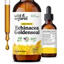 Wild & Organic Echinacea Goldenseal flytende dråper - immunstøtte Supplement m/Goldenseal Echinacea Root Extract - Vegan, Sukker & alkoholfri tinktur - 2 fl oz