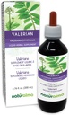Naturalma Valerian (Valariana officinalis) Root alkoholfri tinktur - 6,76 fl oz flytende ekstrakt i Drops - Herbal Supplement - Vegan