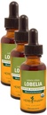 Herb Pharm Certified Organic Lobelia flytende ekstrakt for stomatoid System Support - 1 Ounce (DLOBEL01) (Pack of 3)