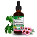 Naturens svar Echinacea & Goldenseal med økologisk alkohol, 2-flødig ovner