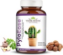 PyloEase  Ay Ayurvedic Herbal Supplement Tradisjonelt brukt til å støtte Digestiv komfort & daglig balanse | Tilknyttet relief fra Digestive Discomfort | 60 Veg Kapsler, (pakke med 1)