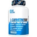 EVL L-karnitin Supplement for vekttap støtte - L karnitin tartrat for cellulær energi fokus utholdenhet og fettforbrenning støtte - stimulerende gratis aminosyre for fettmetabolisme (120 serveringer)