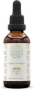 Ceylon Cinnamon B60 alkoholfri urteekstrakt tinktur, konsentrert flytende dråper naturlig kanel (Cinnamomum Verum) (2 fl oz)