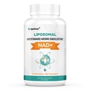 Orgabay Liposomal NAD+ Supplement 500 mg, høy absorpsjon, økt NAD+ med TMG 250 mg, faktisk NAD Plus mer effektiv enn nikotinamid Riboside, støtte cellulær energi, sunn aldring | 60 Softgels