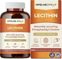 Lecitin-240 Softgels-Supports Hjerne Helse