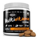 Fineste For Kjæledyr Multivitamin Dog Supplement – 10 I 1 Med Omega Fish Oil & Glukosamine For Forbedret Felles & Hud Support, Gut, Digestion & Immune Hverdags helse (120 Chewable Treats)