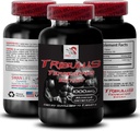 Naturlig Stamina Boost - TRIBULUS TERRESTRIS Extract - Styrke og aktivitetsstøtte, Energioptimeringsformula, Plantebasert kraft, Kroppsytelsesblanding, aktiv gjenoppretting, Energiflow 1Bot 90Tabs