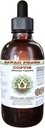 Coptis alkohol-fri flytende ekstrakt, kopi (Rhizoma Coptidis) tørket rot glykeritt Hawaii Pharm Naturlig Herbal Supplement 2 oz