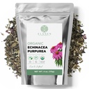 Organisk Echinacea Purpurea 4 oz. (113g), USDA Certified Tørket Echinacea Te, Premium kvalitet urt, lilla konblomst, Cut & Sifted