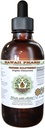 Kinesisk Gullthread alkohol-fri flytende ekstrakt, kinesisk gullthread (Coptis Chinensis) tørket rot glyceritt Hawaii Pharm Naturlig Herbal Supplement 2oz