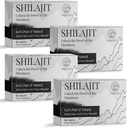 30 000 MG Shilajit tabletter, 100% Shilajit ren, Himalayan organisk, Shilajit for menn og kvinner rik på fulvsyre & 85+ Spor Mineraler, Shilajit Supplement for energi og immunsystem, 240 telling