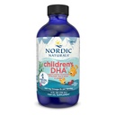 Nordic Naturals Children's DHA, Strawberry - 4 oz for barn - 530 mg Omega-3 med EPA & DHA - Hjerneutvikling og funksjon - Ikke-GMO - 48 Serveringer