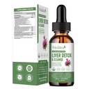 Liver Helse og lymfatiske dressing drops -Support Liver Cleanse Detox & Reparasjon med Artichoke Milk Thistle Silymarin ekstrakt, Dandelion,Turmeric, Berberine til Renew w/21 Potent Herb-Nutrients-60ml