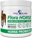 Vital Planet - Flora Horse Probiotic, høy potens Equine Probiotika med prebiotika, 40 milliarder Live CFU fra flere strimler, digestiv og immun støtte, 180 forsinket releasekapsler (180 dager)