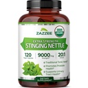 Zazzee USDA Økologisk Stinging Nettle 20:1 Ekstrakt, 9000 mg Styrke, 120 Vegankapsler, 4 måneders forsyning, konsentrert, standardisert 20X ekstrakt, sertifisert økologisk, 100% vegetarisk, all-naturlig, ikke-GMO