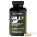 Mullein Leaf Kapsler for pustende helse - 5000 mg Ekstrakt 10:1 for lungestøtte og immunfunksjon - 90 greve - Vegan, ikke-GMO Kapsler - Herbal Supplement for daglig helse - 3 måneders forsyning