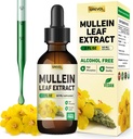 Mullein Drops for Lungs Supplement: Organisk Mullein Leaf 30:1 Ekstrakt Tinktur med klorofyll - Herbal Supplement Support Lung Cleanse & Respiratorisk funksjon - Ikke-GMO, Vegan - 2 Fl Oz