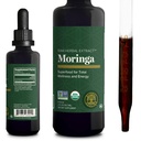 Global Healing Center - Organic Moringa Oleifera Extract flytende dråper, Moringa Supplement-Vegan fra treblad-maks absorpsjon av vitaminer og mineraler- mer potens enn pulverform (2 fl Oz)