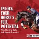 SBS Equine Start Gate Granules - Heste mage Ulcer behandling & Ulcer Relief, Hestetilskudd Formula Scoop for fôr, Perfekt Prep som et Hoof Supplement (5 Gallon)