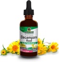 Naturens svar Elecampane Root 2 oz. Lav økologisk alkohol 2000mg - Herbal Supplement - Ikke GMO & Kosher - Lav alkohol Glutenfri 100% Vegan - 2 FL Oz