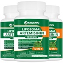 Liposomal Artemisinin Supplement 1000mg, Sweet Wormwood ekstrakt med 200mg Quercetin Phytosom, Maksimal absorpsjon for antioksidant 180 kapsler