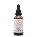Stinging Nettle Leaf USDA Økologisk alkohol-fri ekstrakt | Kosttilskudd, høy-Potens Tinktur | Naturlig sertifisert organisk Sting Nettle (Urtica Dioica) Tørket Leaf (2 oz)