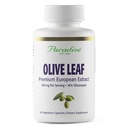 Paradise urter Olive Leaf Extract fra Spansk Andalusisk Olive Trees, Super Potent, Ultra ren, Ikke-GMO, Vegan, Glutenfri, 60 Vegetariske kapsler