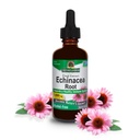 Naturens svar Echinacea Extract | støtter et sunt immunsystem | Vegansk, glutenfri, alkoholfri, ikke-GMO & Kosher-sertifisert | 2oz