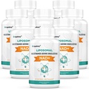 Orgabay Liposomal NAD+ Supplement 500 mg, høy absorpsjon, økt NAD+ med TMG 250 mg, faktisk NAD Plus mer effektiv enn Nikotinamid Riboside, støtte Cellular Energy, sunn aldring |