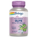 SOLARAY Olive 250mg - Olive Leaf Extract Capsules med 22% Oleuropein, Plus Lemon Balm - Polyfenoler Supplement for velvære støtte - Vegansk, 60-dagers garanti, Lab Verifisert - 120 Services, 120 VegCaps