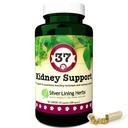 Sølv lining 37 Canine Nyre Støtte - Herbal Hunde Supplement - Naturlig støtte blanding for normal nyre og blender funksjon - 90 kapsler