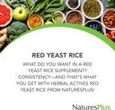 NaturesPlus Herbal Actives Rød Yeast Rice - 120 Vegetariske kapsler, Pakke med 2 - Maksimal potens Herbal Supplement - Glutenfri - 240 Total Services